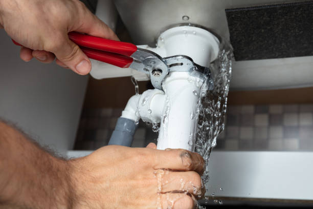 Best Mold removal after water damage  in Adrian, MO