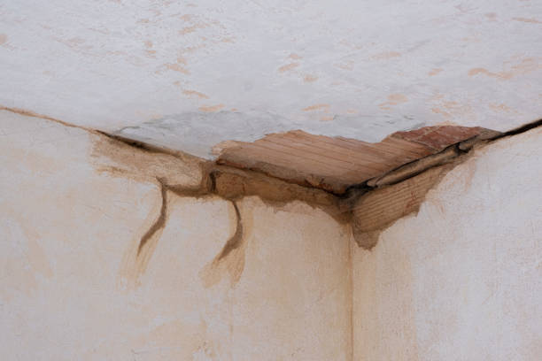 Best Ceiling water damage repair  in Adrian, MO