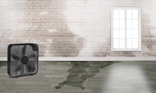 Best Water damage restoration near me  in Adrian, MO