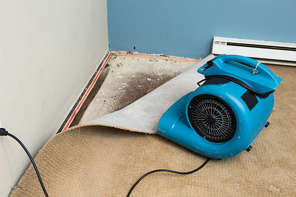 Best Water damage cleanup near me  in Adrian, MO